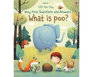 Very First Questions and Answers What is poo by Katie Daynes Katie Daynes, Marta Alvarez Miguens (Auteur)