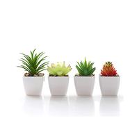 Veryhome Faux Plantes Succulentes Artificielle en Pot en Mini Carré Blanc Pots pour Home Garden Decor Vert (Pot de Fleur en Plastique 4pièces)