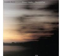 Vesala, Edward - Invisible Storm