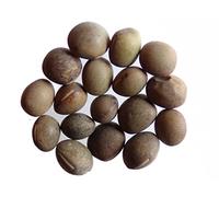 Vesce Commune - 40 grammes - Vicia Sativa L. (Engrais Vert) SEM05