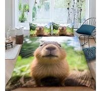 VesFy Capybara Parure De Lit Housse De Couette 3 Pièces Animaux artistiques Microfibre Ensemble De Literie Fermeture Éclair 3D Imprimé avec Taies d'oreiller pour Adultes Filles Garçon King（220x240cm）