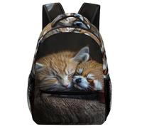 VesFy Sac A Dos Pour Garçon Chat et panda roux Cartable Animaux Sac D'ecole Sac De Voyage Sac De Livre Pour Enfants, Garçons Filles Adolescents One Size