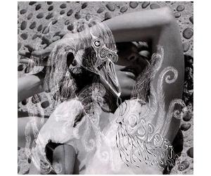 Vespertine - Double Lp Heavy Vinyl