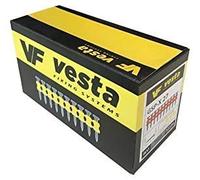 Vesta GSS Lot de 1000 clous + 1 bouteille de gaz P1000 (165mm) pour Cloueur pour béton : HITACHI - Bea - Makita - Autre