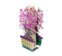 VESTA Parfum d'ambiance Bonsai Magnolia - Parfum Fable by Chiara Florence - Violet - 100 ml - Cristal acrylique - Fabrication artisanale - Idée cadeau - Fabriqué en Italie