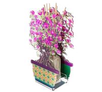 VESTA Parfum d'ambiance Bonsai Magnolia - Parfum Fable by Chiara Florence - Violet - 200 ml - Cristal acrylique - Fabrication artisanale - Idée cadeau - Fabriqué en Italie
