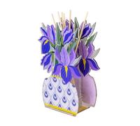 VESTA Parfum d'ambiance Iris - Parfum Anima by Chiara Florence - Violet - 200 ml - Cristal acrylique - Fabrication artisanale - Idée cadeau - Fabriqué en Italie