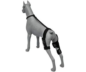 Vestamore Attelle de récupération pour Patte de Chien, Double stabilisation latérale, Soutien du Genou et Confort, Respirante pour Patte Avant ou arrière, Taille S 7,5 à 9,8 in Cuisse x 7,9 in H