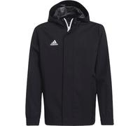 Veste à capuche adidas ENT22 AW JKTY 4066756477684 taille L(159-164cm) EU