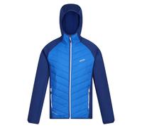 Regatta Andreson Viii Jacket Bleu S Homme
