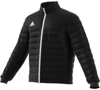 Veste Adidas Entrada 22 Hommes
