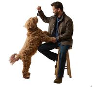 Veste Ariat Calumet S