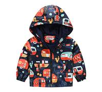 Veste coupe-vent à fermeture éclair pour bébé avec capuche et veste pour barbecue, Multicolore H, 18-24 mois