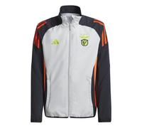 Adidas Benfica 24/25 Pre Match Junior Tracksuit Jacket Gris 15-16 Years Enfants