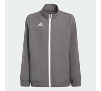 Adidas Entrada 22 Tracksuit Jacket Gris 5-6 Years Enfants