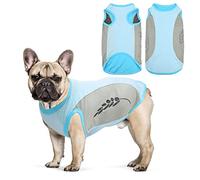 Veste de Refroidissement pour Chien,Gilet de Refroidissement pour Chien Vêtements d'été Respirants pour Chiots avec Bande réfléchissante,T-Shirts légers de pour Petits et Moyens Chiens (L, Bleu)