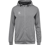 Veste de survêtement à capuche zippé polyester Hummel Authentic Gris S