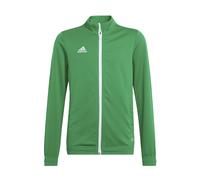 Adidas Entrada 22 Tracksuit Jacket Vert 13-14 Years Enfants