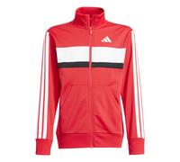 Adidas Seasonal Essentials Tiberio 3 Stripes Tricot Tracksuit Rouge 15-16 Years Enfants