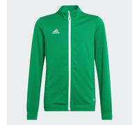 Veste de survêtement Entrada 22 Team Green / White 13-14A