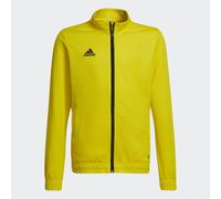 Veste de survêtement Entrada 22 Team Yellow / Black 13-14A