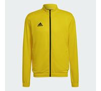 Adidas Entrada 22 Tracksuit Jacket Jaune S / Regular Homme