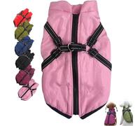 Veste d'hiver 3 en 1 pour chien, imperméable et coupe-vent, veste de neige isolante pour petites, moyennes et grandes races, parfaite pour la protection par temps froid
