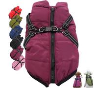 Veste d'hiver 3 en 1 pour chien, imperméable et coupe-vent, veste de neige isolante pour petites, moyennes et grandes races, parfaite pour la protection par temps froid