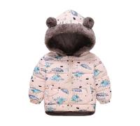 Veste d'hiver douillette 2026 avec doublure en polaire imprimée dinosaure pour filles et garçons - Tenue chaude avec motifs de dessin animé, manteau pour enfant toute l'année, Rose, 4-5 ans