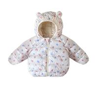 Veste d'hiver pour bébé avec capuche - Ultra légère - Rembourrée et légère - Pour garçons et filles - Manteau d'hiver chaud à capuche - Manteau d'hiver pour 6 mois à 4 ans