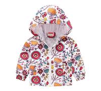 Veste Enfant Garçon Vestes Coupe Vent Garçons Blousons Automne Hiver Manteaus Réfléchissante Enfants Doublure Polaire Randonnée Printemps pour Scolaire Capuche
