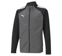 Veste enfant Puma Team Liga Training Gris 8 ans Unisex