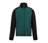 Veste hybride Regatta Clumber L