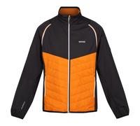 Regatta Steren Hybrid Softshell Jacket Orange 3XL Homme