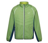 Regatta Steren Ii Hybrid Softshell Jacket Vert S Homme