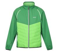 Regatta Steren Hybrid Softshell Jacket Vert M Homme