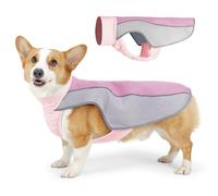 Veste rafraîchissante pour chien, harnais d'été amélioré avec sangles réglables, gilet respirant et frais avec anneaux en titane durables pour chiens de petite, moyenne et grande taille, design léger
