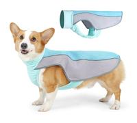 Veste rafraîchissante pour chien, harnais d'été amélioré avec sangles réglables, gilet respirant et frais avec anneaux en titane durables pour chiens de petite, moyenne et grande taille, design léger