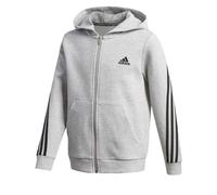 Veste Zippée À Capuche Gris 12A