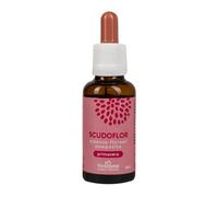 VESTENA - Scudoflor Primavera 30ml - Antihistaminique Naturel Allergie Pollen & Graminées - Complément Allergies Respiration & Bien-être Printemps