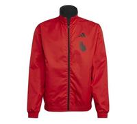 Vestes Adidas Belgium Anthem HE1431 L