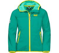 Vestes Jack Wolfskin 16080114071
