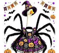 Vestito di Halloween per Oca da Portico Costume per Statua da Giardino