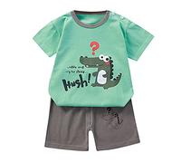 Vetement Bebe garçon Ensemble 3 Mois à 6 Ans ete Avion Dinosaure t-Shirts à Manches Courtes garçon 2024 Mignon Girafe Panda Dessin animé Short Enfant Garcon Sport Casual Tenue (G, 3-9 Months)
