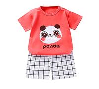 Vetement Bebe garçon Ensemble 3 Mois à 6 Ans ete Avion Dinosaure t-Shirts à Manches Courtes garçon 2024 Mignon Girafe Panda Dessin animé Short Enfant Garcon Sport Casual Tenue (A, 3-9 Months)