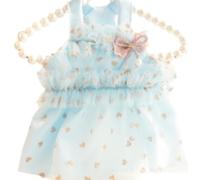 Vêtement pour chien en dentelle avec cœur en gaze pour chiens, chats, petits cœurs, imprimé mignon, fin, accessoires d'été tendance pour Yorkshire (XL, bleu)
