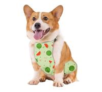 Vêtement pour chien - Tablier imperméable pour chiot - Motif dessin animé - Pour une préparation facile des sorties, la randonnée, le camping, le quotidien, une visite au parc, par temps humide, jours