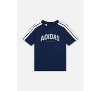 Vêtements adidas sportswear J C COLLEG TEE pour Enfant 7A - 8A Bleu