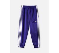 Adidas Pantalon de jogging Stadium Violet Taille M Homme