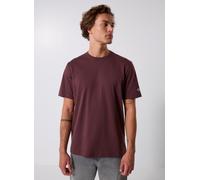 Vêtements Champion 220761 pour Homme S Marron
